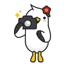 사진인화 바로가기